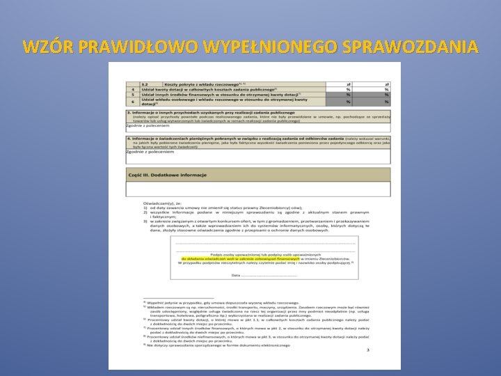 WZÓR PRAWIDŁOWO WYPEŁNIONEGO SPRAWOZDANIA 