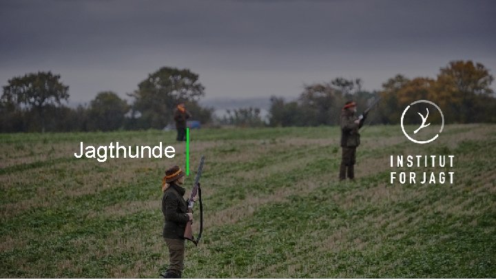 Jagthunde 