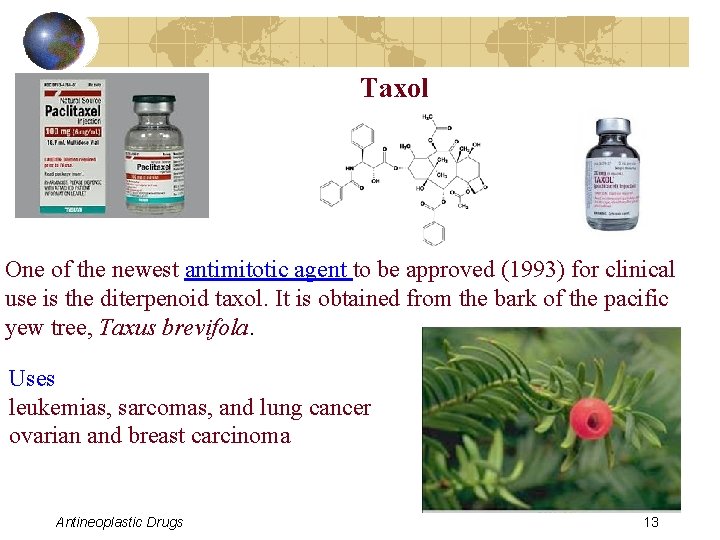 Taxol One of the newest antimitotic agent to be approved (1993) for clinical use