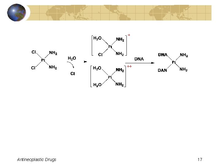 Antineoplastic Drugs 17 