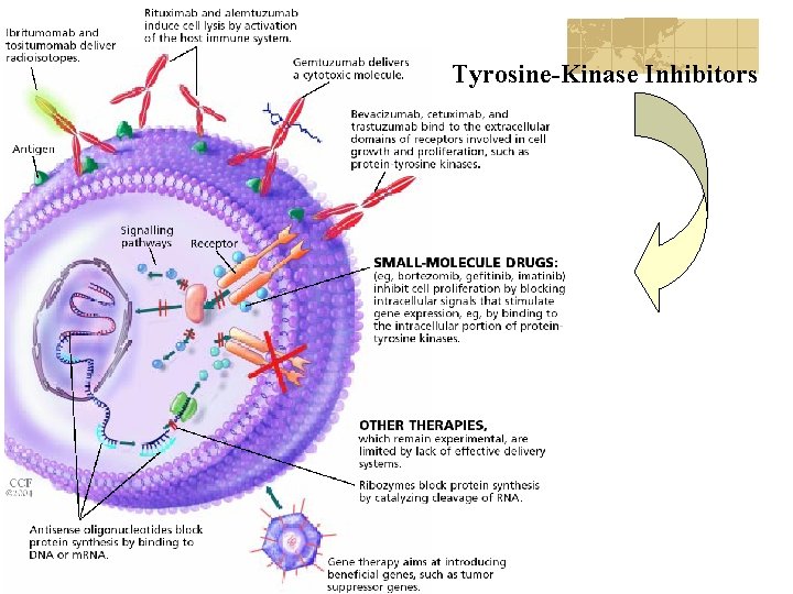 Tyrosine-Kinase Inhibitors 