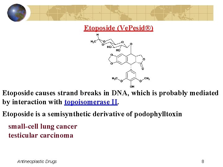 Etoposide (Ve. Pesid®) Etoposide causes strand breaks in DNA, which is probably mediated by