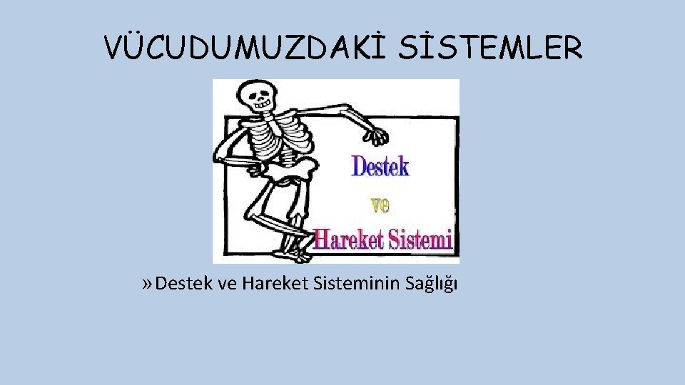 VÜCUDUMUZDAKİ SİSTEMLER » Destek ve Hareket Sisteminin Sağlığı 