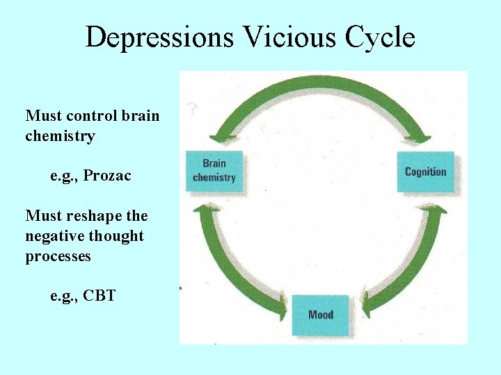 Depressions Vicious Cycle Must control brain chemistry e. g. , Prozac Must reshape the