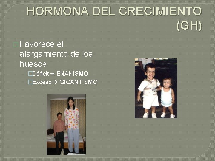 HORMONA DEL CRECIMIENTO (GH) � Favorece el alargamiento de los huesos �Déficit ENANISMO �Exceso