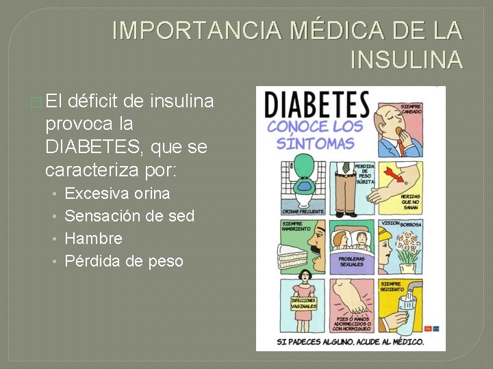 IMPORTANCIA MÉDICA DE LA INSULINA � El déficit de insulina provoca la DIABETES, que