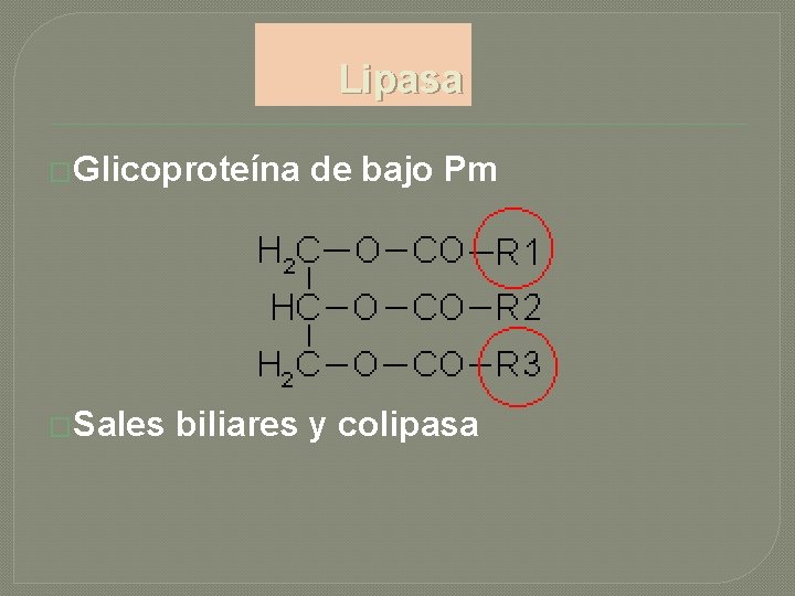 Lipasa �Glicoproteína �Sales de bajo Pm biliares y colipasa 