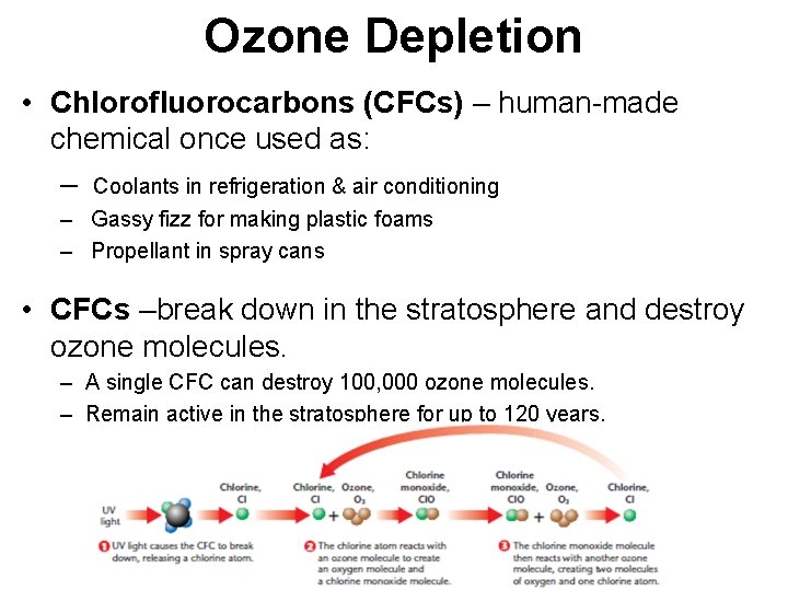 Ozone Depletion • Chlorofluorocarbons (CFCs) – human-made chemical once used as: – Coolants in