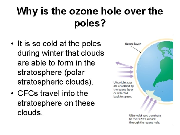 Why is the ozone hole over the poles? • It is so cold at