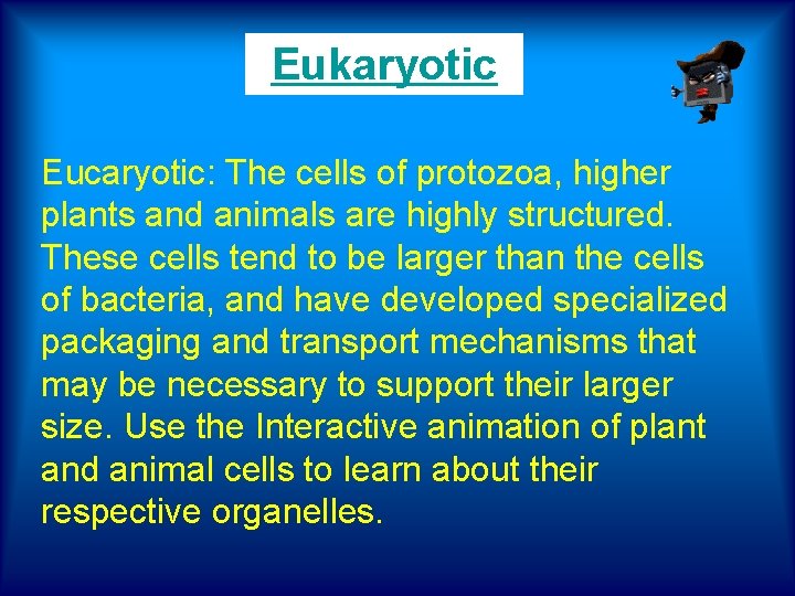 Eukaryotic Eucaryotic: The cells of protozoa, higher plants and animals are highly structured. These