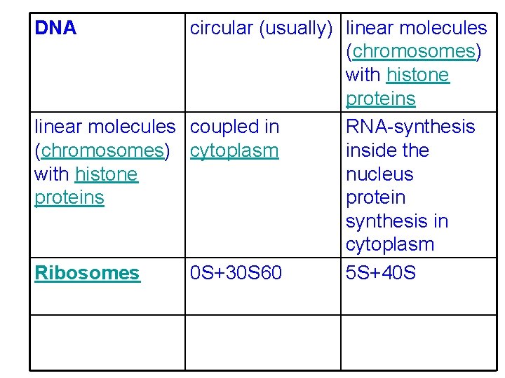 DNA circular (usually) linear molecules (chromosomes) with histone proteins linear molecules coupled in RNA-synthesis