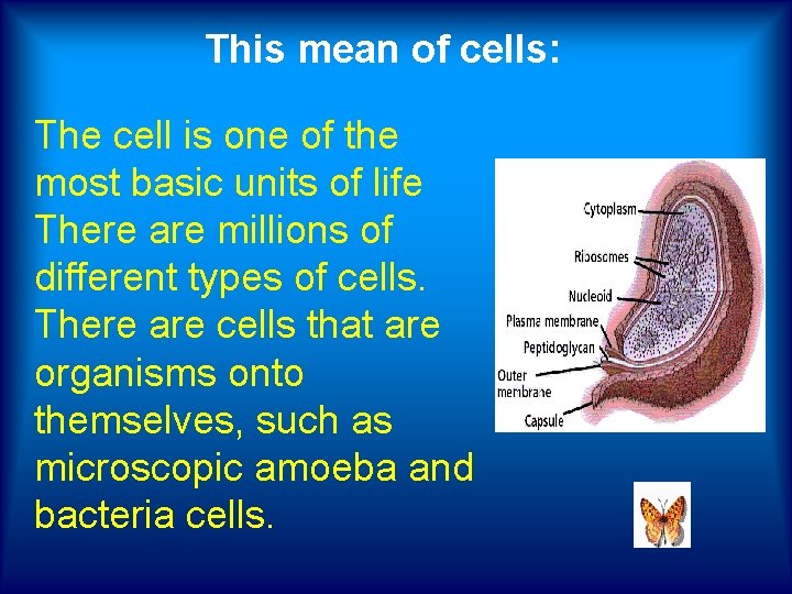 This mean of cells: The cell is one of the most basic units of