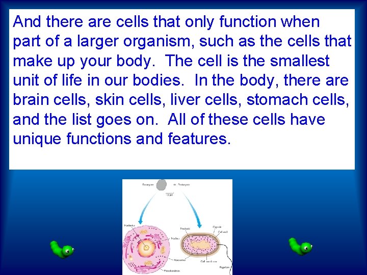 And there are cells that only function when part of a larger organism, such