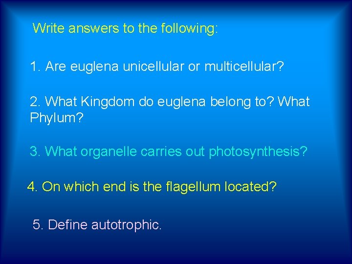 Write answers to the following: 1. Are euglena unicellular or multicellular? 2. What Kingdom