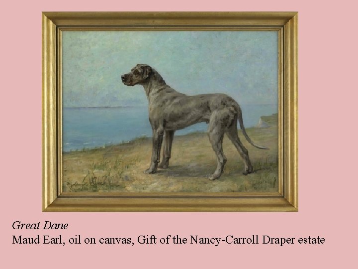 Great Dane Maud Earl, oil on canvas, Gift of the Nancy-Carroll Draper estate 