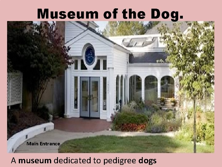 Museum of the Dog. Main Entrance A museum dedicated to pedigree dogs 