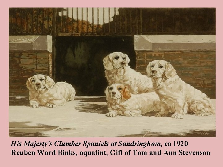 His Majesty's Clumber Spaniels at Sandringhom, ca 1920 Reuben Ward Binks, aquatint, Gift of