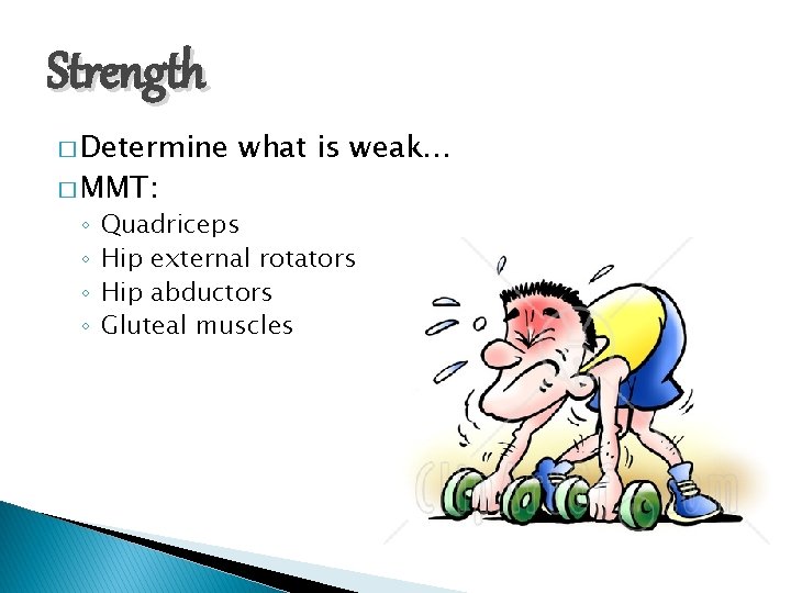 Strength � Determine � MMT: ◦ ◦ what is weak… Quadriceps Hip external rotators