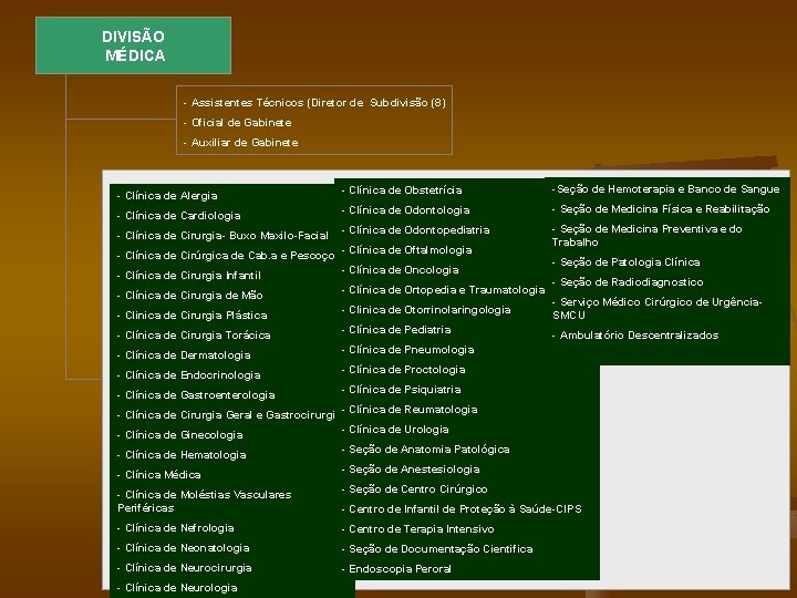 DIVISÃO MÉDICA - Assistentes Técnicos (Diretor de Subdivisão (8) - Oficial de Gabinete -