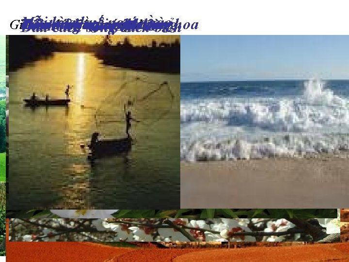 Mùi hoa huệ ngạt ngào Dẫu cách núi cách rừng Trên những cánh đồng