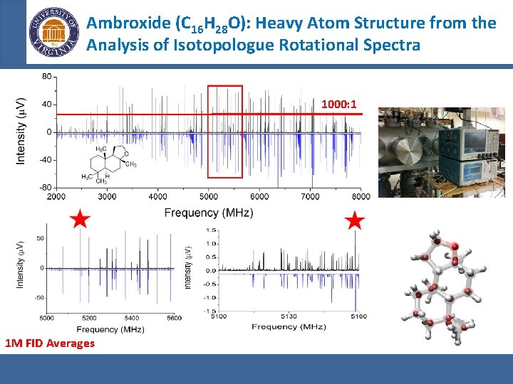 Ambroxide (C 16 H 28 O): Heavy Atom Structure from the Analysis of Isotopologue