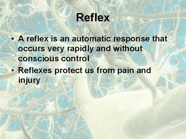 Reflex • A reflex is an automatic response that occurs very rapidly and without