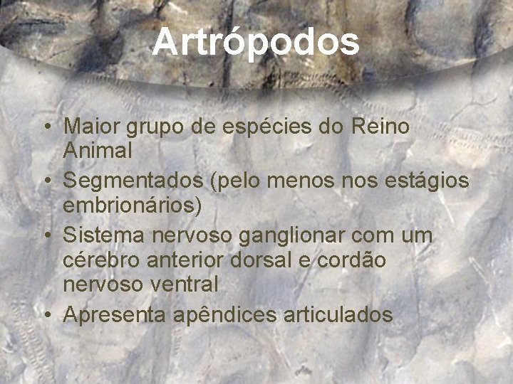 Artrópodos • Maior grupo de espécies do Reino Animal • Segmentados (pelo menos estágios