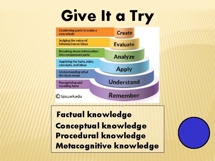 Give It a Try Factual knowledge Conceptual knowledge Procedural knowledge Metacognitive knowledge Timer 