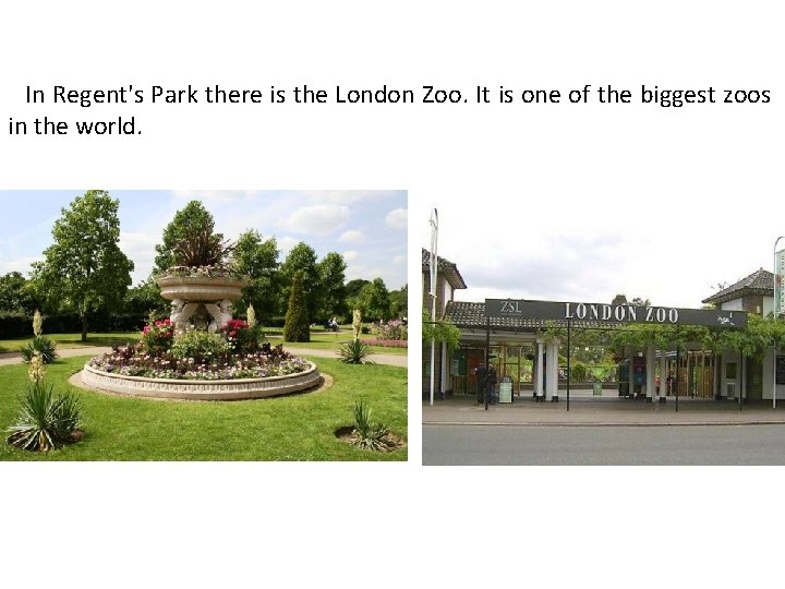 In Regent's Park there is the London Zoo. It is one of the biggest