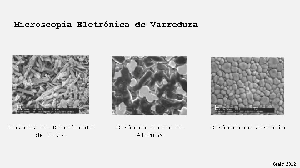 Microscopia Eletrônica de Varredura Cerâmica de Dissilicato de Lítio Cerâmica a base de Alumina
