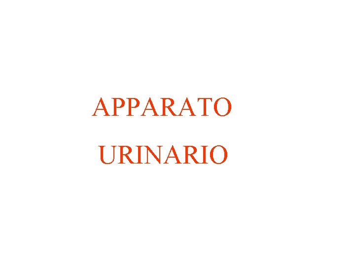 APPARATO URINARIO APPARATO URINARIO