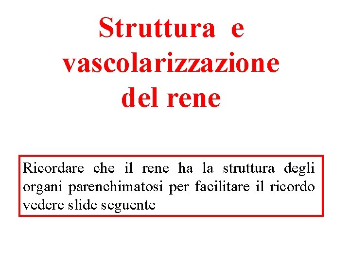 Struttura e vascolarizzazione del rene Ricordare che il rene ha la struttura degli organi Struttura e vascolarizzazione del rene Ricordare che il rene ha la struttura degli organi