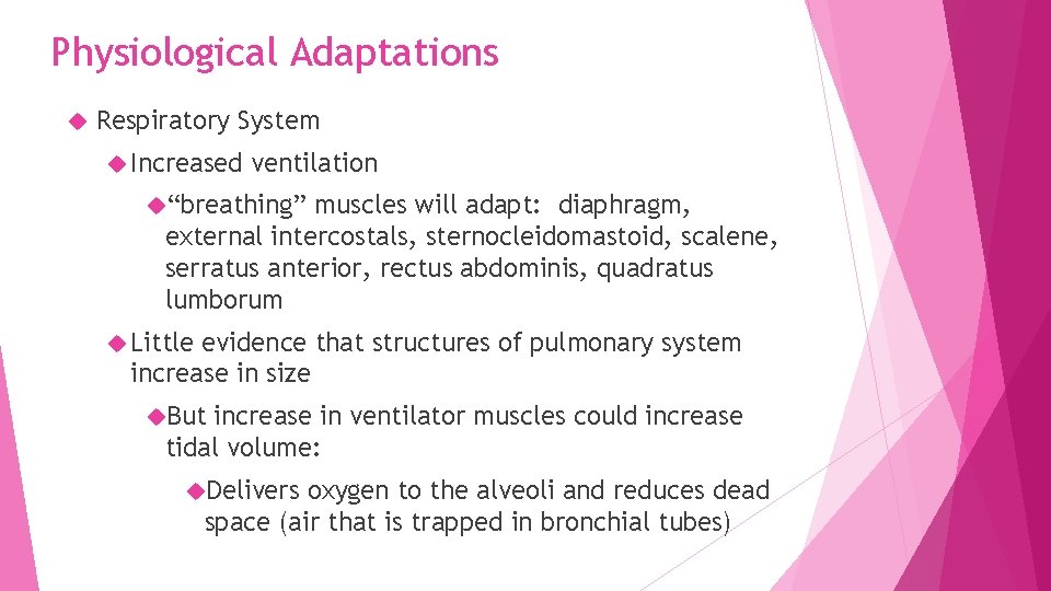Physiological Adaptations Respiratory System Increased ventilation “breathing” muscles will adapt: diaphragm, external intercostals, sternocleidomastoid,