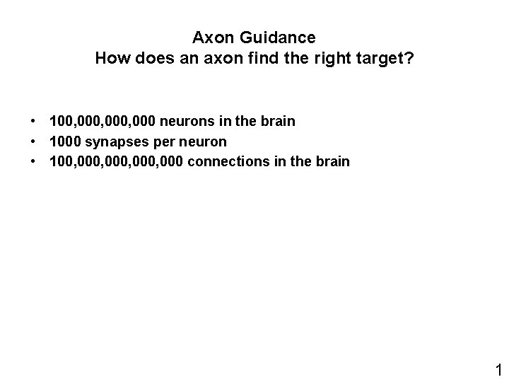 Axon Guidance How does an axon find the right target? • 100, 000, 000