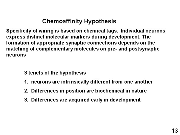 Chemoaffinity Hypothesis Specificity of wiring is based on chemical tags. Individual neurons express distinct