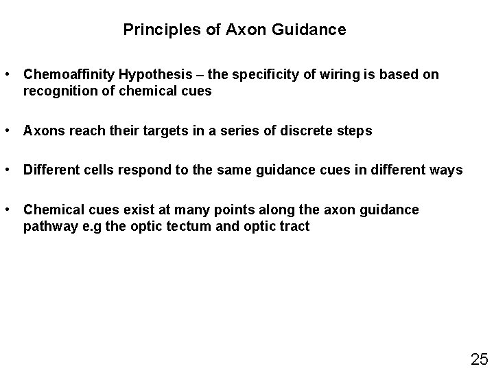 Principles of Axon Guidance • Chemoaffinity Hypothesis – the specificity of wiring is based