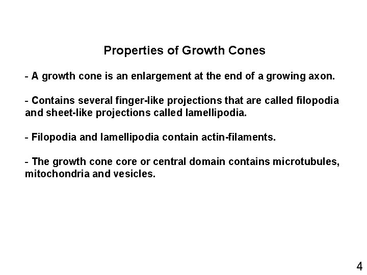 Properties of Growth Cones - A growth cone is an enlargement at the end