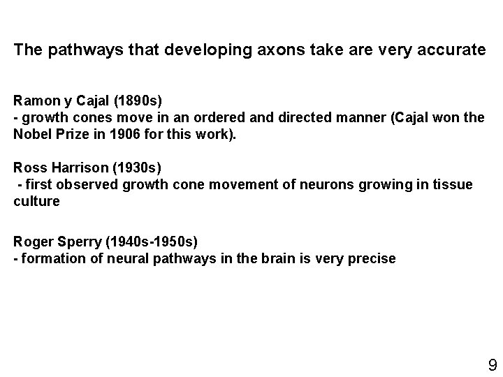 The pathways that developing axons take are very accurate Ramon y Cajal (1890 s)