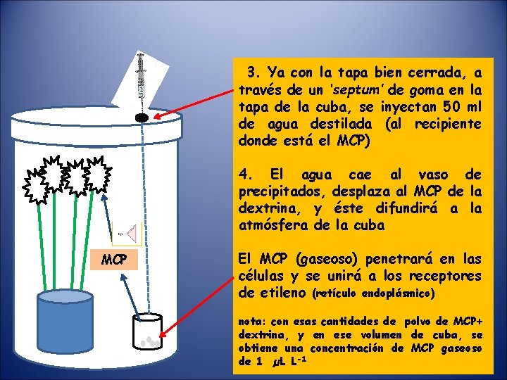 3. Ya con la tapa bien cerrada, a través de un ‘septum’ de goma