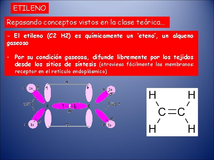 ETILENO Repasando conceptos vistos en la clase teórica… - El etileno (C 2 H