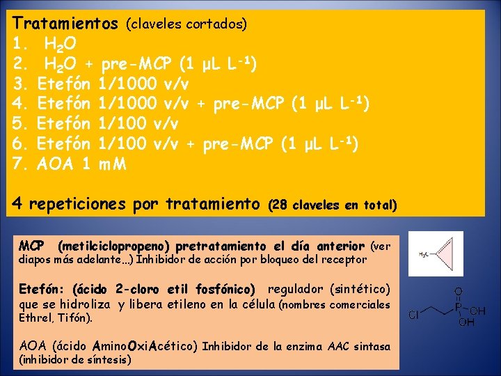 Tratamientos (claveles cortados) 1. H 2 O 2. H 2 O + pre-MCP (1