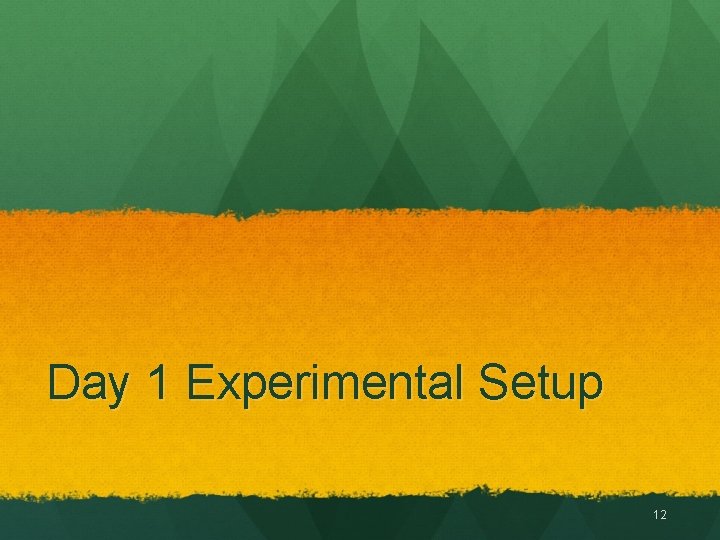 Day 1 Experimental Setup 12 