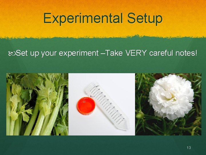 Experimental Setup Set up your experiment –Take VERY careful notes! 13 