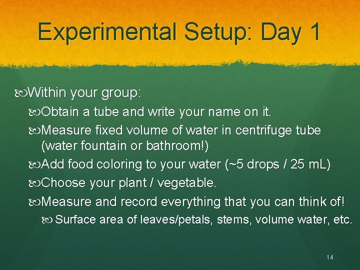 Experimental Setup: Day 1 Within your group: Obtain a tube and write your name