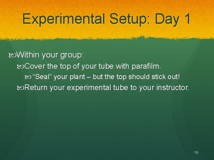 Experimental Setup: Day 1 Within your group: Cover the top of your tube with