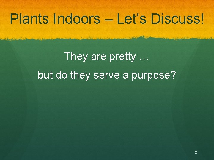 Plants Indoors – Let’s Discuss! They are pretty … but do they serve a