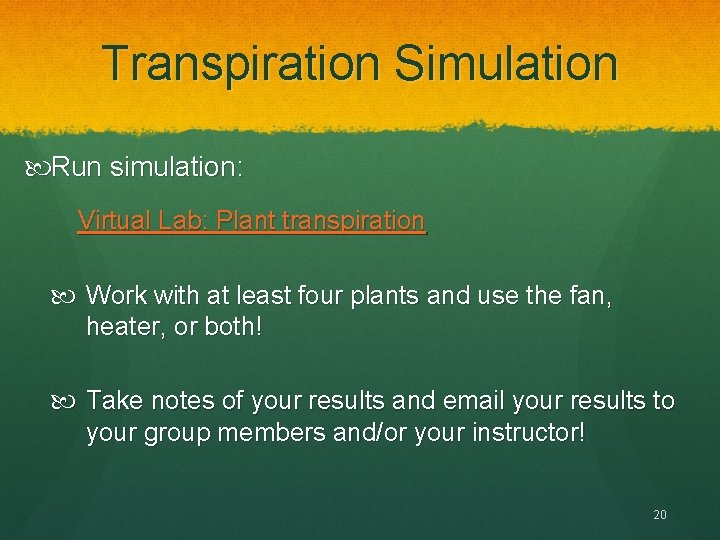 Transpiration Simulation Run simulation: Virtual Lab: Plant transpiration Work with at least four plants