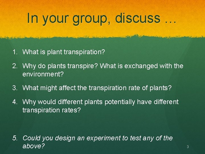 In your group, discuss … 1. What is plant transpiration? 2. Why do plants