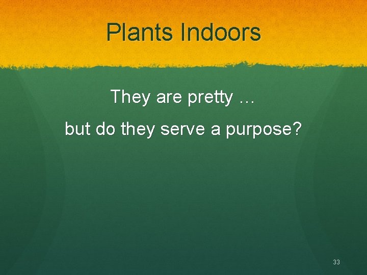 Plants Indoors They are pretty … but do they serve a purpose? 33 