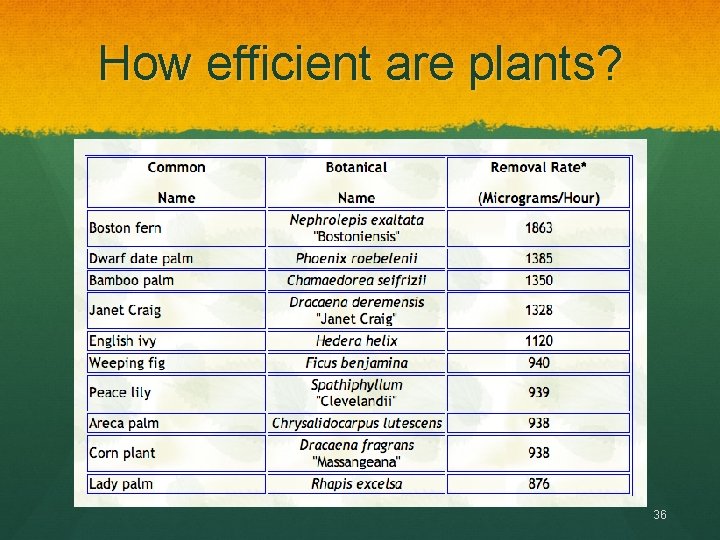 How efficient are plants? 36 